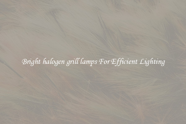 Bright halogen grill lamps For Efficient Lighting