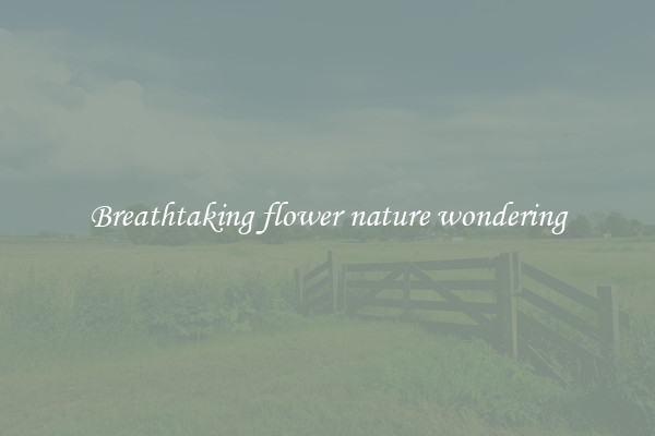 Breathtaking flower nature wondering