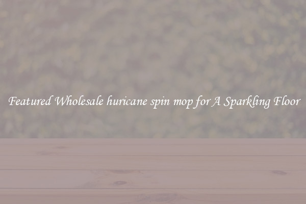 Featured Wholesale huricane spin mop for A Sparkling Floor