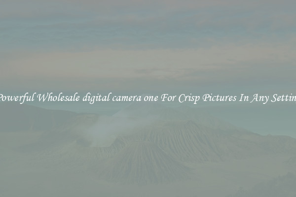 Powerful Wholesale digital camera one For Crisp Pictures In Any Setting