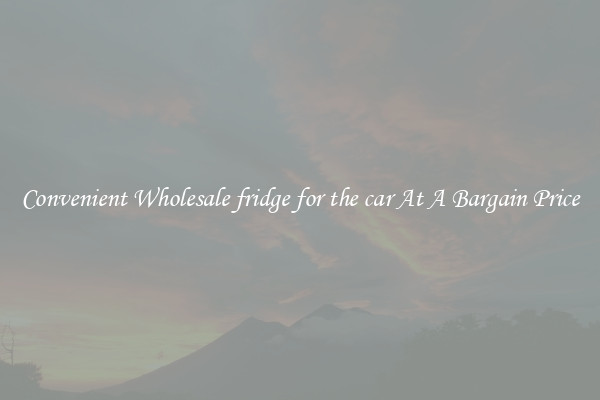 Convenient Wholesale fridge for the car At A Bargain Price