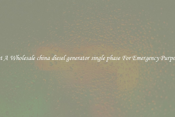 Get A Wholesale china diesel generator single phase For Emergency Purposes