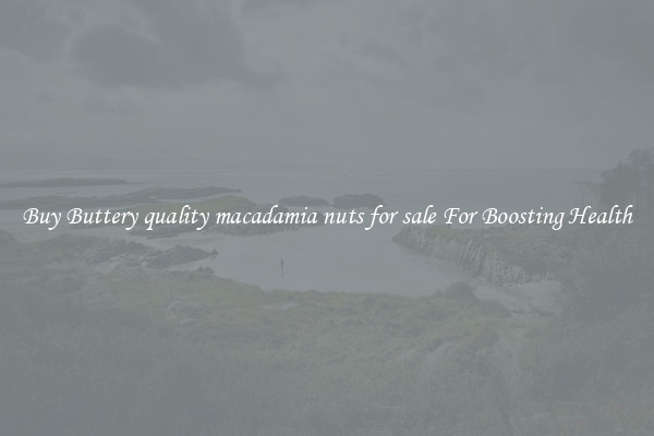 Buy Buttery quality macadamia nuts for sale For Boosting Health