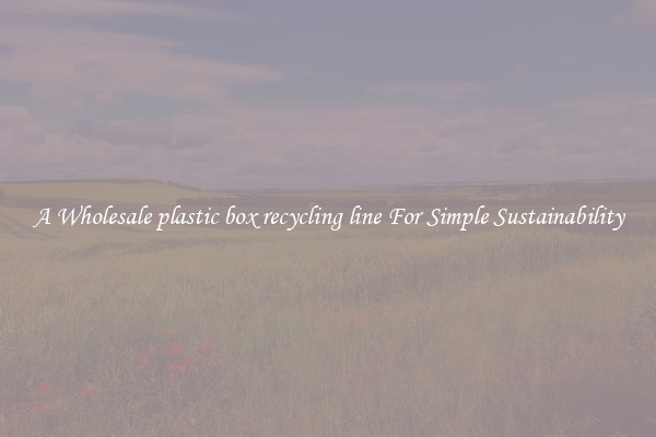  A Wholesale plastic box recycling line For Simple Sustainability 
