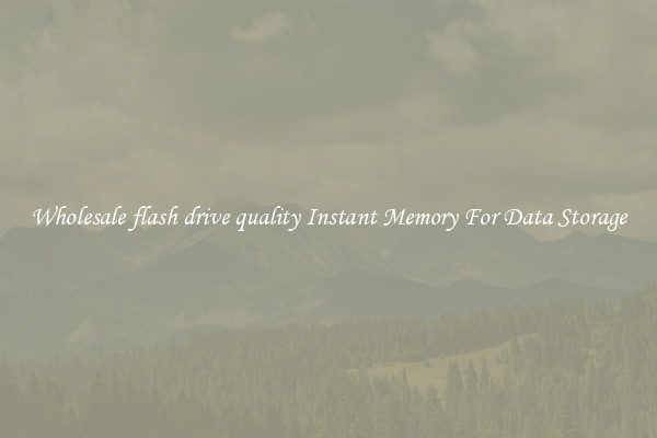 Wholesale flash drive quality Instant Memory For Data Storage