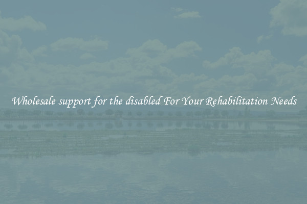 Wholesale support for the disabled For Your Rehabilitation Needs