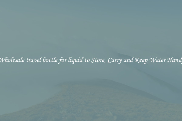 Wholesale travel bottle for liquid to Store, Carry and Keep Water Handy