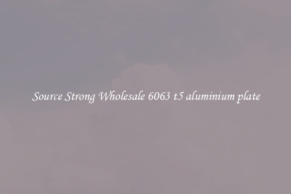 Source Strong Wholesale 6063 t5 aluminium plate
