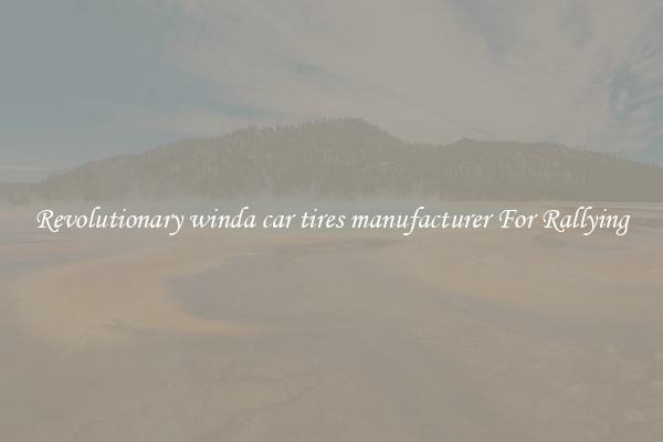 Revolutionary winda car tires manufacturer For Rallying