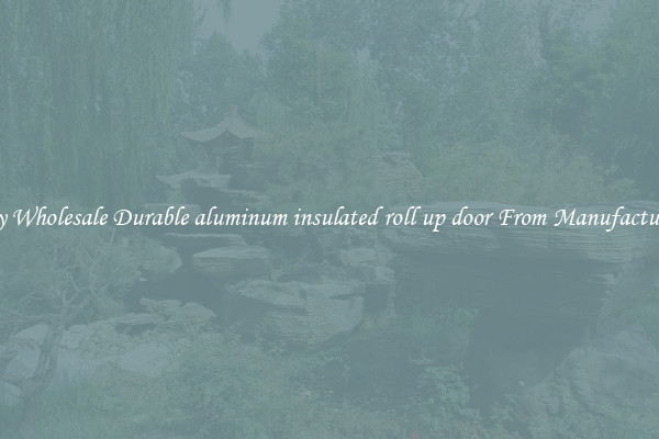 Buy Wholesale Durable aluminum insulated roll up door From Manufacturers