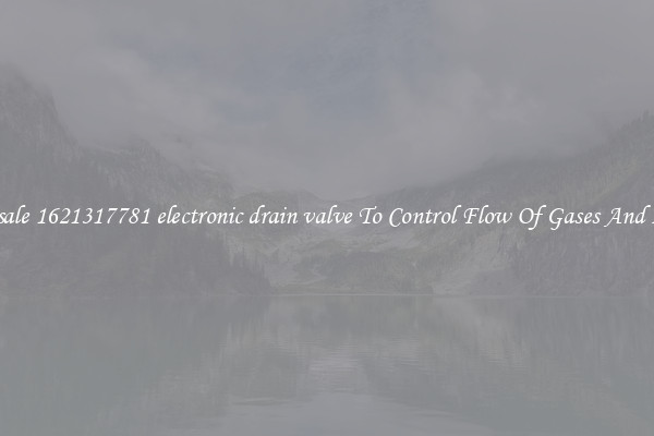 Wholesale 1621317781 electronic drain valve To Control Flow Of Gases And Liquids