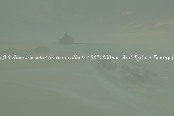 Buy A Wholesale solar thermal collector 58*1800mm And Reduce Energy Costs