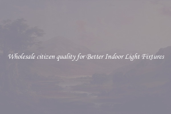 Wholesale citizen quality for Better Indoor Light Fixtures