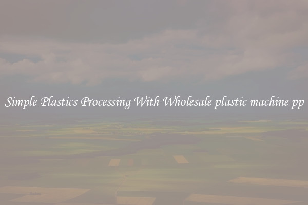 Simple Plastics Processing With Wholesale plastic machine pp