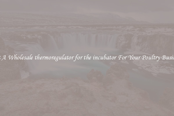 Get A Wholesale thermoregulator for the incubator For Your Poultry Business