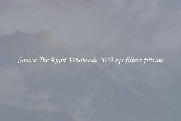 Source The Right Wholesale 2023 sgs filters filtrate