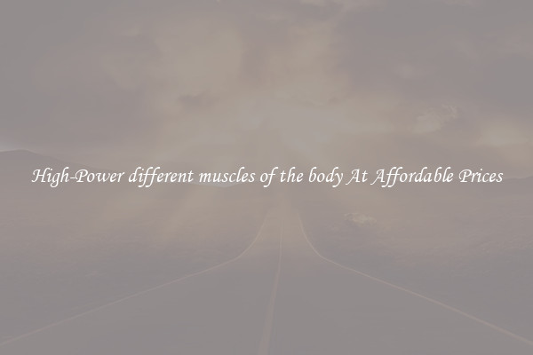 High-Power different muscles of the body At Affordable Prices