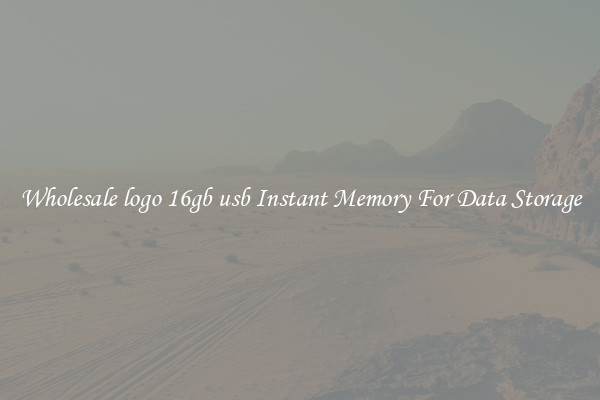 Wholesale logo 16gb usb Instant Memory For Data Storage