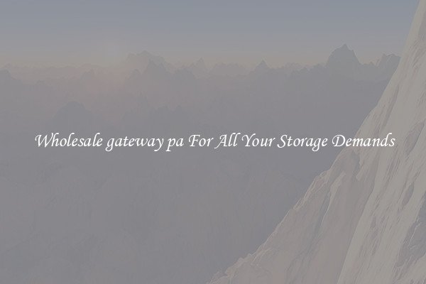 Wholesale gateway pa For All Your Storage Demands