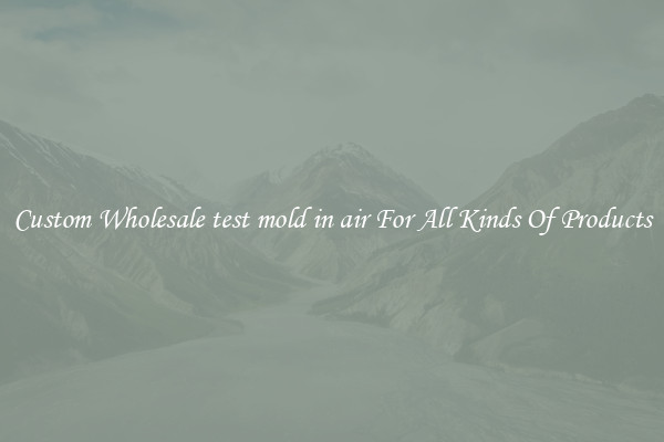 Custom Wholesale test mold in air For All Kinds Of Products