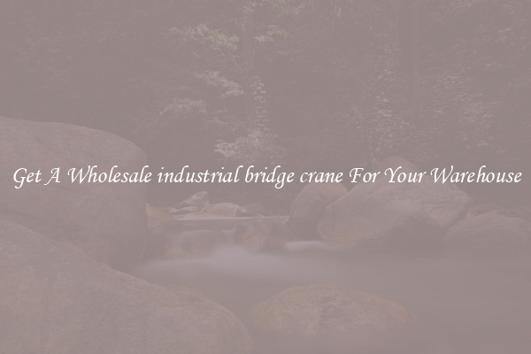Get A Wholesale industrial bridge crane For Your Warehouse