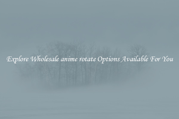 Explore Wholesale anime rotate Options Available For You