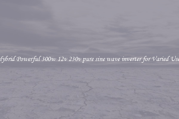 Hybrid Powerful 300w 12v 230v pure sine wave inverter for Varied Uses